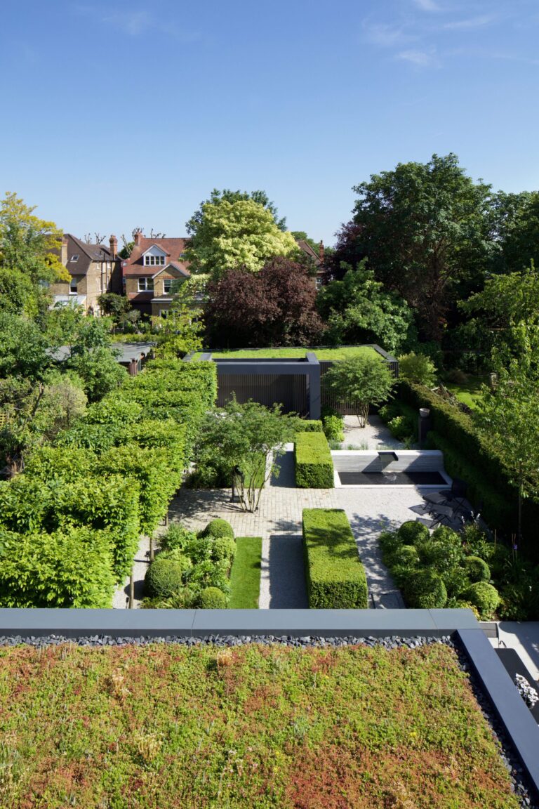 ShadesOfGreyHouse_robertdyearchitects_25_green roof