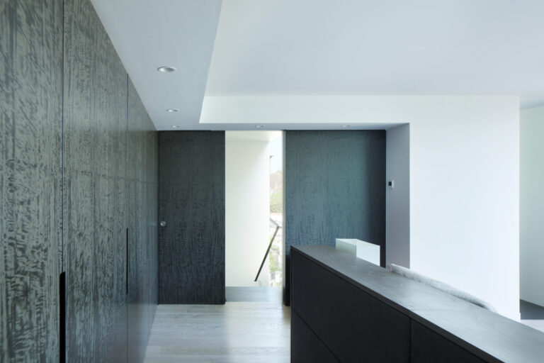 ShadesOfGreyHouse_robertdyearchitects_23_dressing