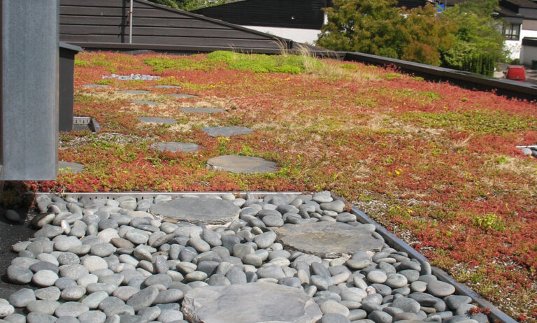 UphillHouse_robertdyearchitects_22_seedum