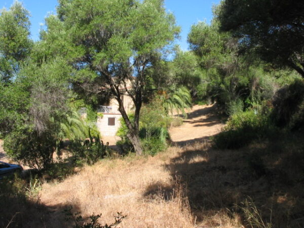 PrivateVillaCorsica_robertdyearchitects_02